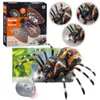 Ferngesteuerte Spinnen-Vogelspinne Infrarot Schwarz R/C ST Produktbild-Vorschau 2
