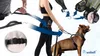 FIT4MED | Guinzaglio sportivo per cani - Grigio - Cintura Anteprima dell’immagine prodotto 9
