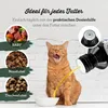 Algenöl 100% vegan und fischfrei reich an Produktbild-Vorschau 3