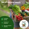 Green Harvest Groentezaden Set 20 soorten, 20 zakjes, zaden Productafbeelding-voorbeeld 6