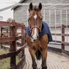 Kentucky Walker 160g Teppich Blau 140 cm Blau 140 cm Produktbild-Vorschau 18