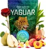 Yaguar - Mate Tee Frutas del Huerto 500g - Mit Apfel, Produktbild-Vorschau 2