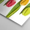 Bilder auf glas - Tulpe Blume Garten Komposition - 70x70cm Produktbild-Vorschau 5