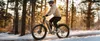 250W Bike 7 Gänge, Mountainbike Trekkingrad Citybike Produktbild-Vorschau 6