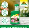 Neudorff Neudo-Vital Rosen-Spritzmittel 250 ml Konzentrat Produktbild-Vorschau 5