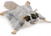 Carl Dick Flughörnchen, Gleithörnchen ca. 30cm, Plüschtier, Produktbild-Vorschau 1