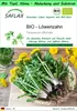 SAFLAX Garden to go - BIO - Löwenzahn - Taraxacum Produktbild-Vorschau 1