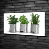 Tulup® Glas-Bild - 100x50 -Wandkunst - Wandbild hinter Produktbild-Vorschau 2