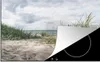 KitchenYeah© Herdabdeckplatte Sand - Pflanzen - Deutschland Produktbild-Vorschau 1