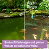 Lawana Algen Stopp, 1 kg - Bekämpft Fadenalgen und grünes Produktbild-Vorschau 3