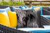 MuchoWow® Outdoor Kissen - Scottish Hochlandrind - Auge - Produktbild-Vorschau 4