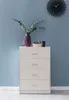 A white chest of drawers with a vase of greenery and some decorative items on top, set against a blue wall. Produktbild-Vorschau