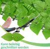 TolleTour Sichtschutzhecke Windschutz Efeu Sichtschutz Produktbild-Vorschau 4