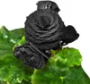 Blumensamen Rose Schwarz 100 Stück für die Aussaat im Produktbild-Vorschau 4