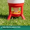 Agrarzone Futterautomat Geflügel mit Fressgitter 50 L Produktbild-Vorschau 5