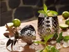 ECHTWERK Ananas Cocktail Tasse / Ananasbecher aus Produktbild-Vorschau 4