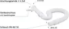 Röhren-Siphon 31213 Röhren-Sifon mit flexiblem Schlauch und Produktbild-Vorschau 3