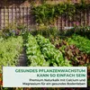 Allflor Gartenkalk Dolomiti 25 kg Produktbild-Vorschau 2