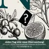 Wajos Gin Collection Adventskalender 2026 mit 24 x 0,04 l Produktbild-Vorschau 5