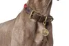 Hunter Halsband List beige, Größe: 50 cm / Durchmesser: 1,2 Produktbild-Vorschau 8