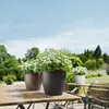 LECHUZA-Pflanzgefäß CLASSICO Color 28 Muskat | Pflanzgefäß Produktbild-Vorschau 12
