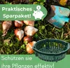 12er Set Pflanzkörbe für Blumenzwiebeln Pflanzschale Produktbild-Vorschau 6
