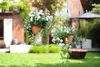 elho® Vibia campana Pflanzenampel Terracotta Ø 26 cm - Produktbild-Vorschau 7
