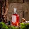 KADAX Glasflasche für Tinktur 250ml mit Silberverschluss Produktbild-Vorschau 7