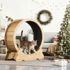 Mondeer Jouet intelligent pour animaux Tapis roulant pour Voir les images du produit 2
