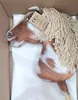 Cavallo giocattolo - Cavallo a bastone grande Premium - Anteprima dell’immagine prodotto 7
