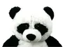 Panda Bär 100 cm groß Kuscheltier Teddybär Teddy Produktbild-Vorschau 5