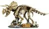 LEGO Jurassic World Szkielety dinozaurów: triceratops, Podgląd zdjęcia produktu 7