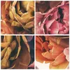 Poster - Poster ohne Rahmen - Blumenstrauß Blumen Braut - Produktbild-Vorschau 8
