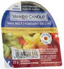 Yankee Candle Tropická Vůně Plodů Hvězdnatého Neba, Vosk Náhled obrázku produktu 6