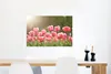 MuchoWow® Poster Tulpen - Sonne - Frühling 60x40 cm - Produktbild-Vorschau 5