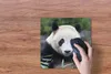 MuchoWow® Mauspad Mousepad Großer Panda - Gras - Steine Produktbild-Vorschau 3