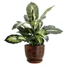 Pot en céramique rond avec soucoupe brun foncé 25 cm Voir les images du produit 1