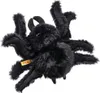 Steiff Spinne Cobweb schwarz 14 cm 061721 Produktbild-Vorschau 2