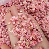 280 getrocknete Blumen, natürliche Trockenblumen, rosa, 0,5–1 cm Productafbeelding-voorbeeld