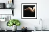 MuchoWow® MuchoWow® Gerahmtes Poster Geier - Weiß - Schwarz Produktbild-Vorschau 4