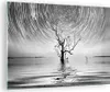Bilder auf glas - Einteilig - Schwarzweiß Baum See - Produktbild-Vorschau 1