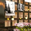 Outsunny Jardiniššre avec treillis, brise-vue, lit Voir les images du produit 8