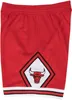 Kraťasy Mitchell & Ness SMSHGS18223-CBUSCAR97 pro Pánské Náhled obrázku produktu 9