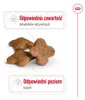 Royal Canin Mini Adult 8+, Dospělý jedinec, Malý (5-10 Náhled obrázku produktu 8