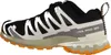 Salomon XA PRO 3D V9 GTX grau Walkingschuh Mehrfarbig in Produktbild-Vorschau 14