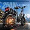 HillMiles MileLink1 E Bike, 48V 41Ah Batterie, 250km Produktbild-Vorschau 2