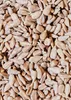 KoRo I  Sonnenblumenkerne 2 kg Produktbild-Vorschau 3
