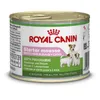 Royal Canin Starter Mousse Mother & Baby Dog, Universal, Produktbild-Vorschau 19