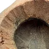 BioCoco Pot Vaso in cocco per orchidee epifite Anteprima dell’immagine prodotto 12