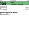 Reyher  Rampa-Muffen 7965A M6 x20 galvanisch verzinkt (100 Produktbild-Vorschau 1